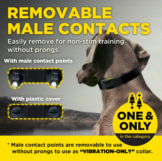 Dogtra ARC-X Kit 1-Dog Unit