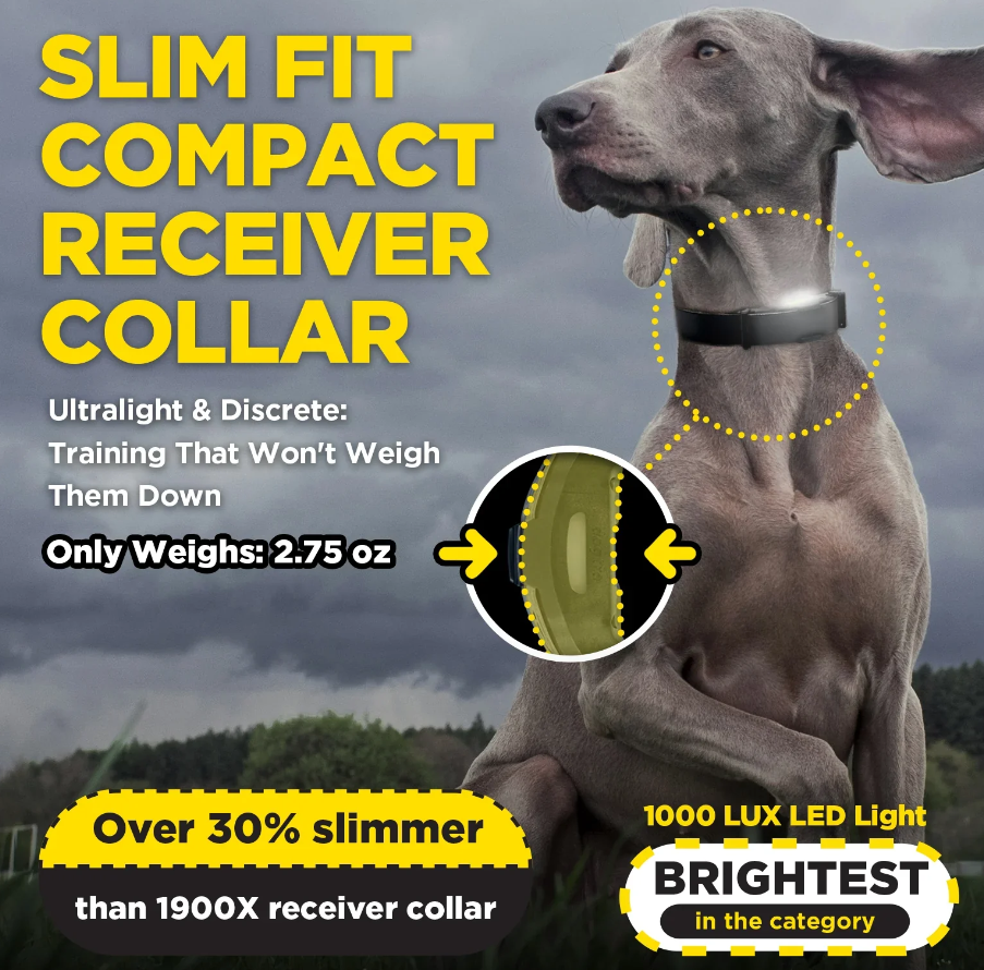 Dogtra ARC-X Kit 1-Dog Unit