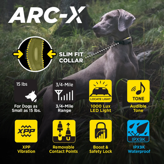 Dogtra ARC-X Kit 1-Dog Unit