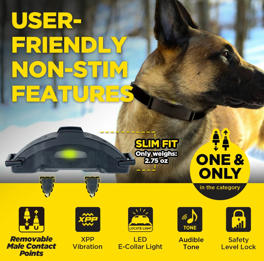 Dogtra ARC-X Kit 1-Dog Unit