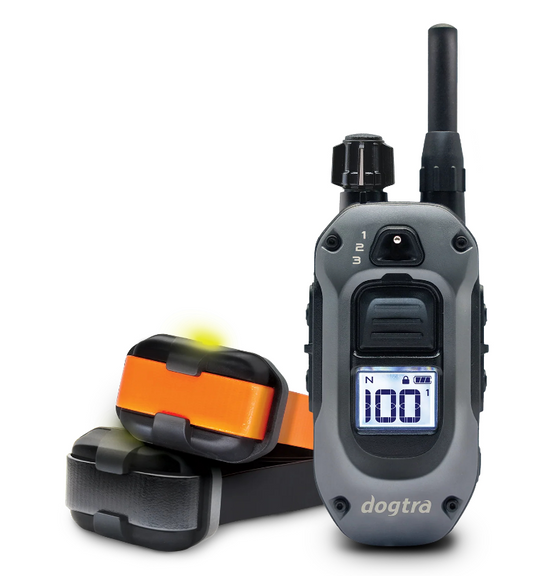 Dogtra 640x-2 dog
