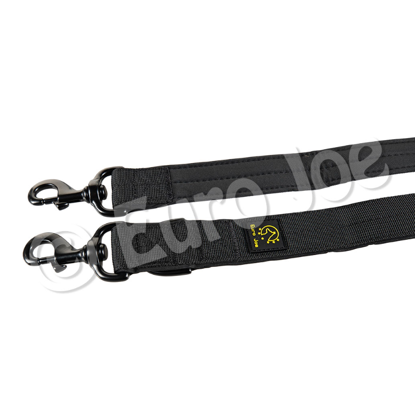 Iron Power Double lead