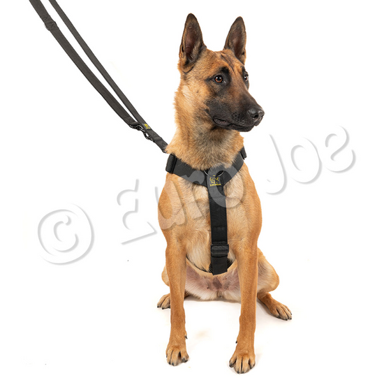 Iron Power Double lead