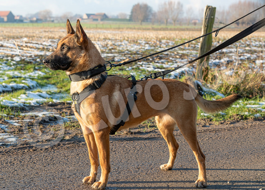 Iron Power Double lead