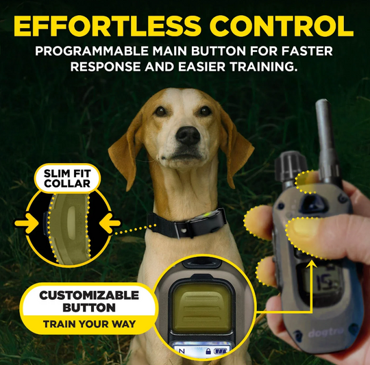 Dogtra ARC-X Kit 2-Dog Unit