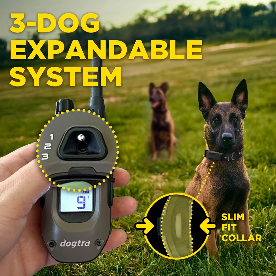 Dogtra ARC-X Kit 2-Dog Unit