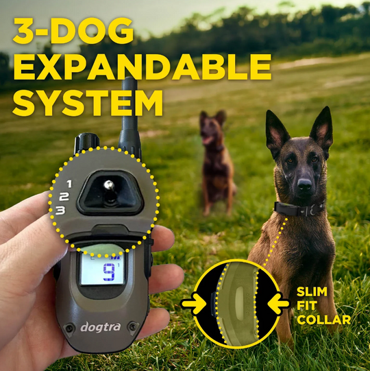 Dogtra ARC-X Kit 2-Dog Unit