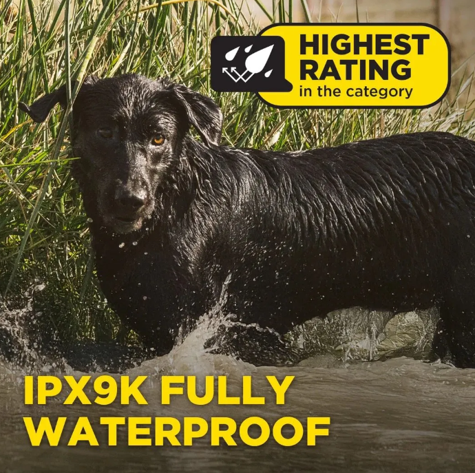 Dogtra 1200X-2 Dog Unit