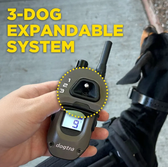 Dogtra 1200X-2 Dog Unit