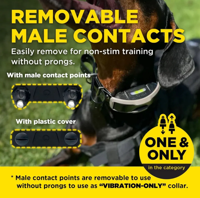 Dogtra 1200X-2 Dog Unit