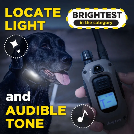 Dogtra 1200X-2 Dog Unit