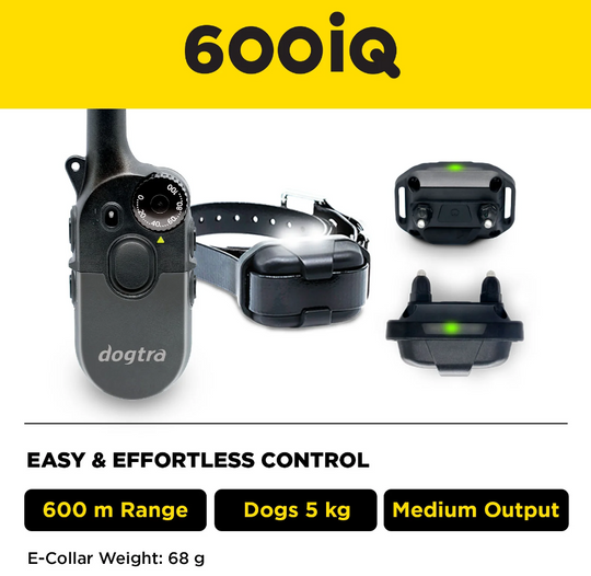 600iQ Kit 1- Dog Unit