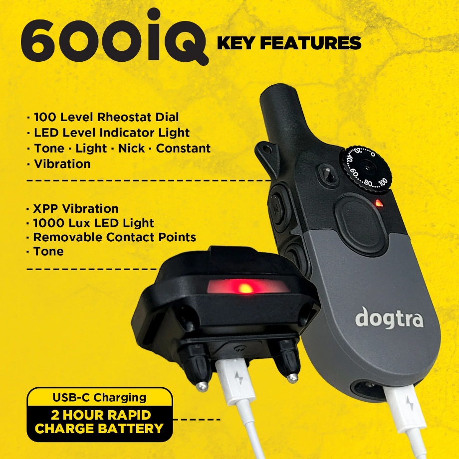 600iQ Kit 1- Dog Unit