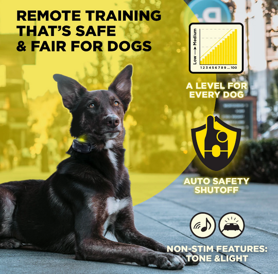600iQ Kit 1- Dog Unit