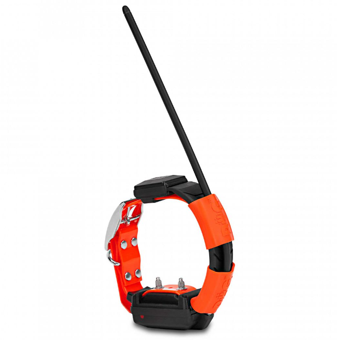 Dogtrace Training and tracking system DOG GPS X30T