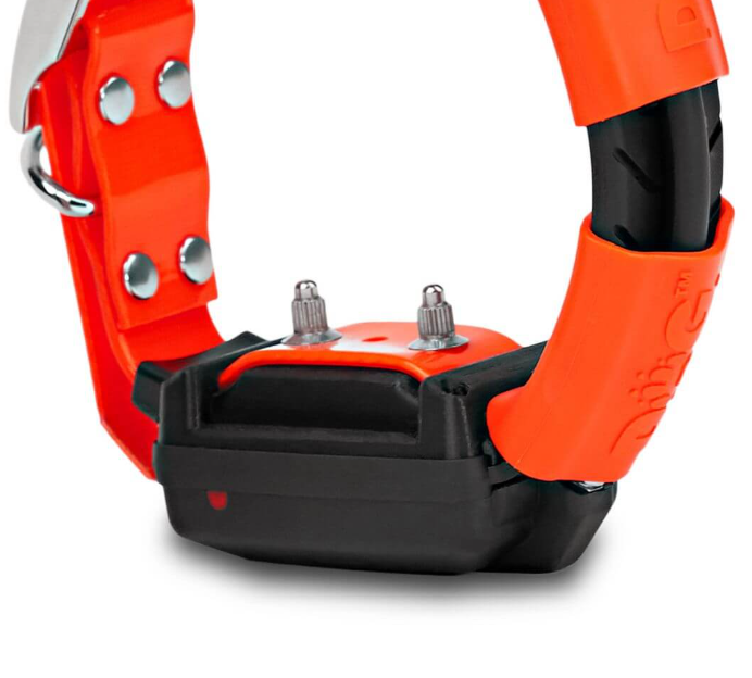 Dogtrace Training and tracking system DOG GPS X30T