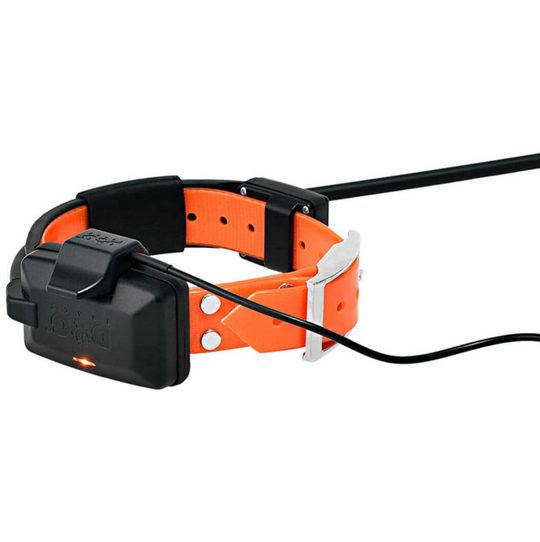 Dogtrace Training and tracking system DOG GPS X30T