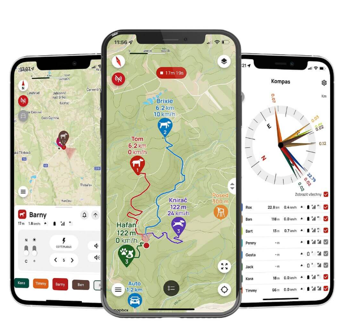 Dogtrace Training and tracking system DOG GPS X30T