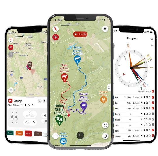 Dogtrace Training and tracking system DOG GPS X30T