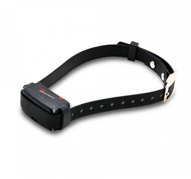Dogtrace Electronic training collar d-control professional 2000 ONE