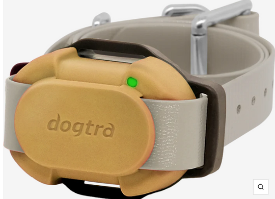 Dogtra IQ Flex Additional Collar