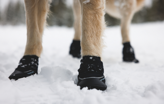 Ruffwear Polar Trex Winter Boots