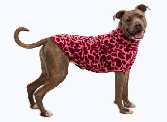 Ruffwear Climate Changer Jacket