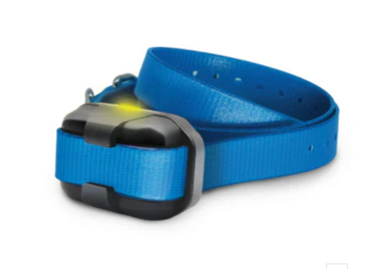 Replacement/Additional  Collar