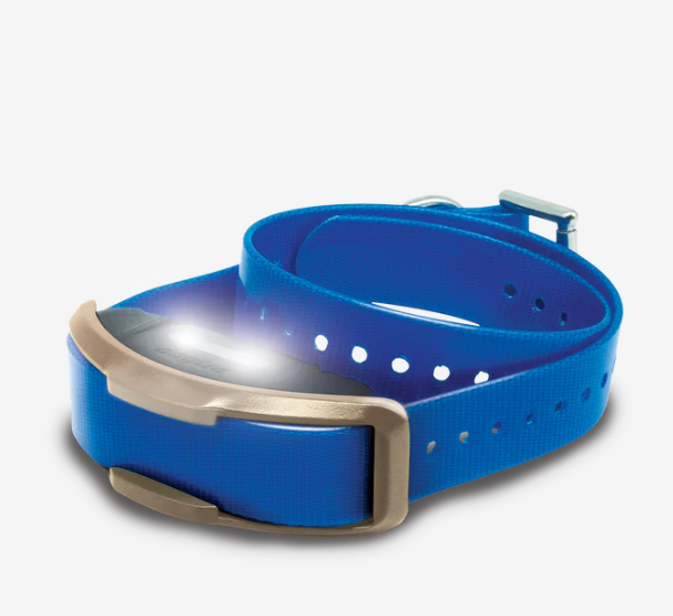 Replacement/Additional  Collar