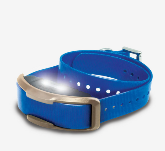 Replacement/Additional  Collar