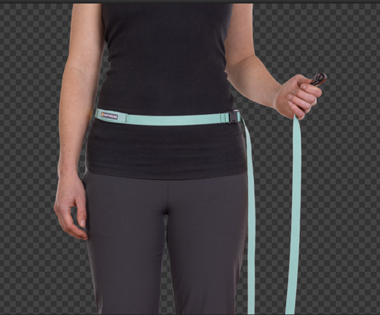 Ruffwear Flagline Leash