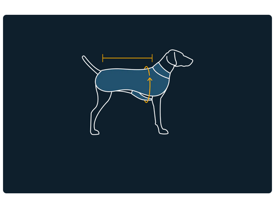 Ruffwear Climate Changer Fleece Vest