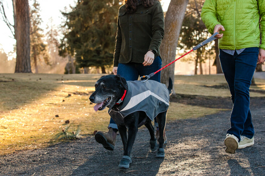 Ruffwear Lumenglow High-Vis Jacket