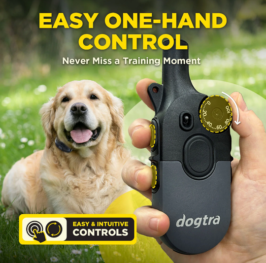600iQ Kit 1- Dog Unit