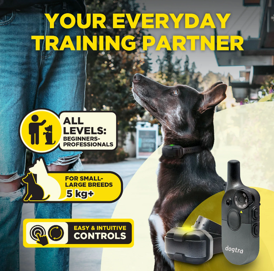 600iQ Kit 1- Dog Unit