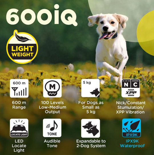 600iQ Kit 1- Dog Unit