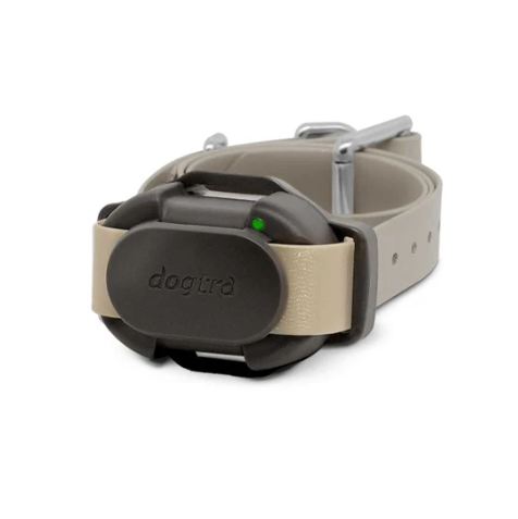 Replacement/Additional  Collar
