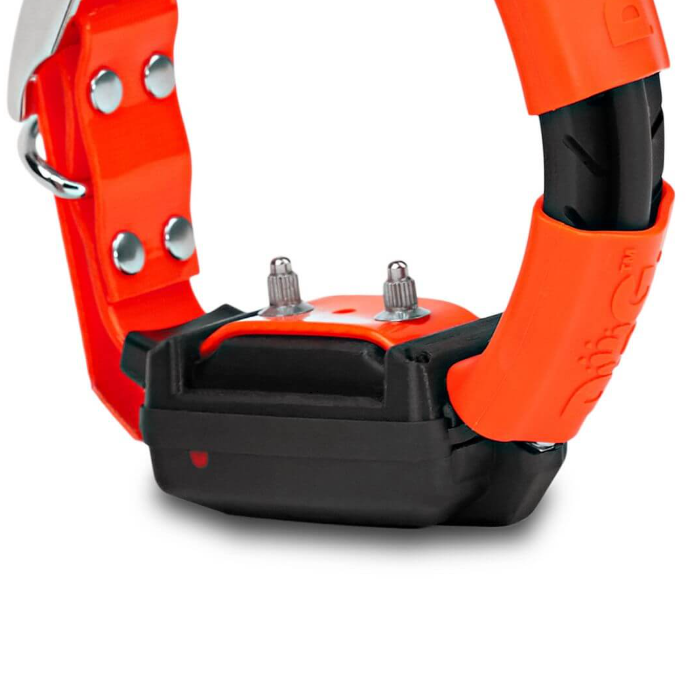 Dogtrace Replacement/Additional Collar