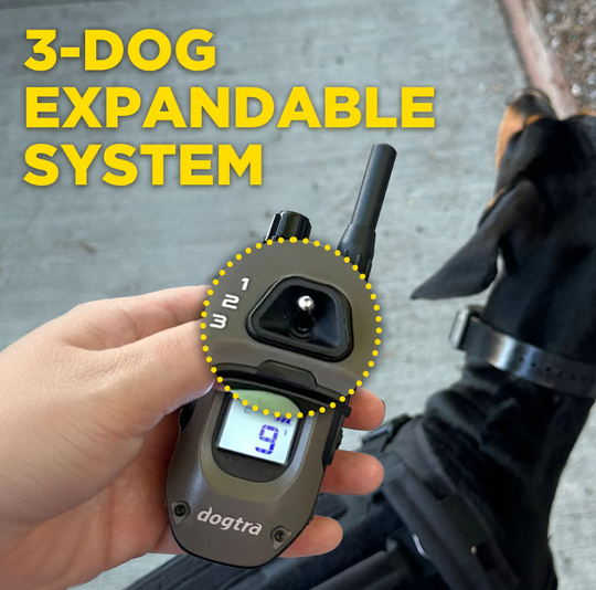 Dogtra 1200X (1900) EU Version