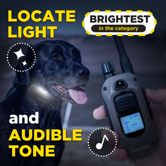 Dogtra 1200X (1900) EU Version