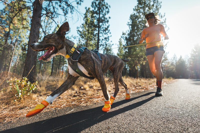 Ruffwear Summit Trex Shoe