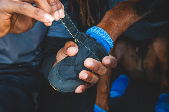 Ruffwear Summit Trex Shoe