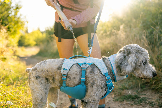 Ruffwear Swamp Cooler Harness