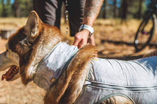 Ruffwear Swamp Neck Gaiter