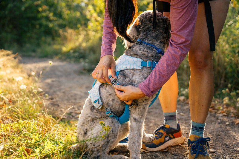 Ruffwear Swamp Cooler Harness