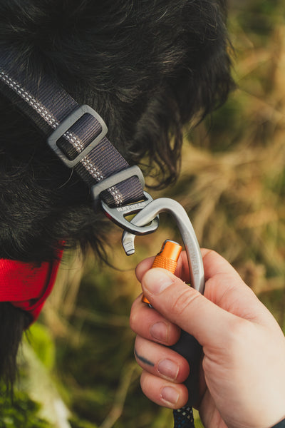 Ruffwear Top Rope Collar