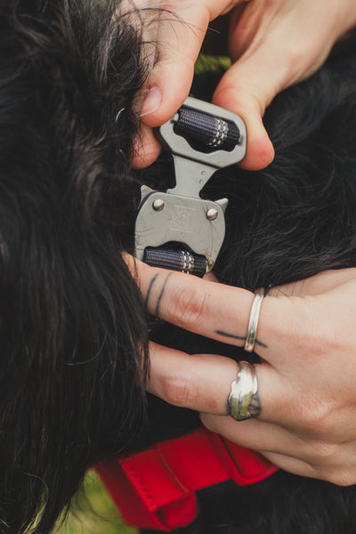 Ruffwear Top Rope Collar