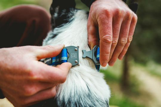 Ruffwear Top Rope Collar