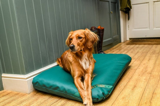 Tuffies Wipe Clean Mattress