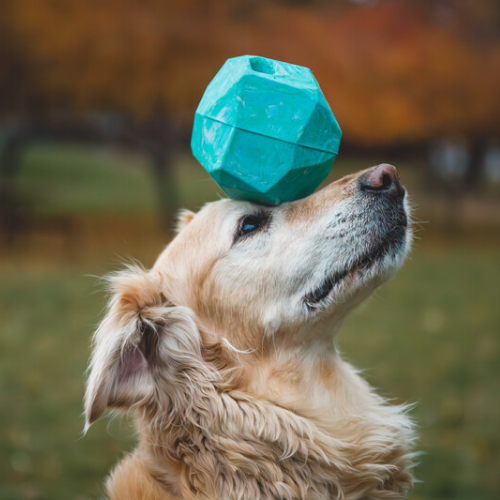 Ruffwear Gnawt-a-Rock Toy